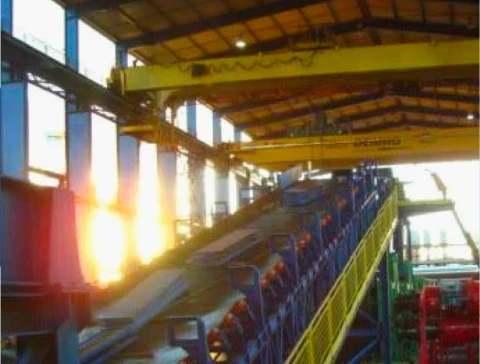 Shredded Sugarcane Conveyors